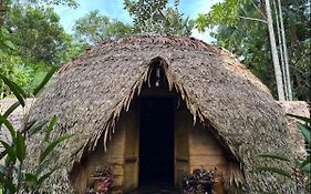 Palmayacu - Refugio Amazónico